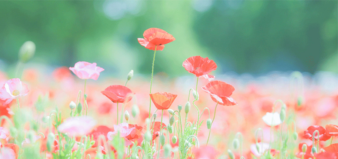 上北郡おいらせ町住吉 小児科 アレルギー科